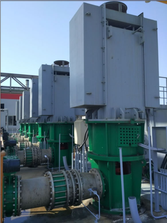 Auxiliary circulating water pump of Venezuela power plant